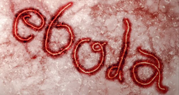 ebola virus - eoo