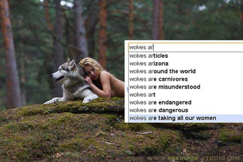 wolves fucking - wolves ar wolves articles wolves arizona wolves around the world wolves are carnivores wolves are misunderstood wolves art wolves are endangered wolves are dangerous wolves are taking all our women Tudio.Com