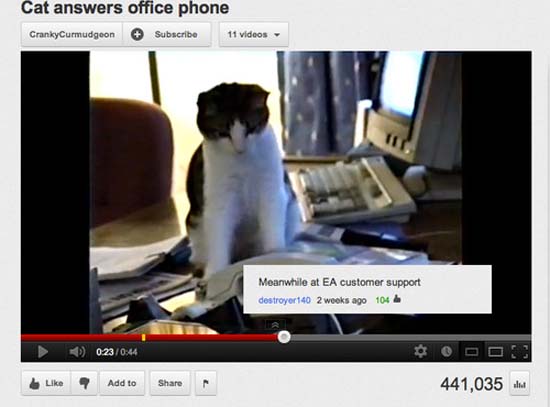 cat office gif - Cat answers office phone CrankyCurmudgeon Subscribe 11 videos Meanwhile at Ea customer support destroyer 140 2 weeks ago 104 > 023 Add to 441,035 unit