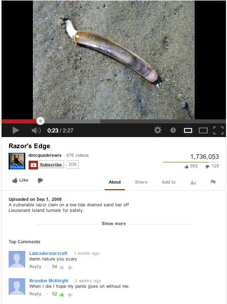 angle - Ooo Razor's Edge dmcquadelewis 476 videos Subscribe 209 1,736,053 583 129 About Add to Uploaded on A vulnerable razor clam on a low tide drained sand bar off Lieutenant Island tunnels for safety. Show more Top Labradorstarcraft 1 month ago damn na