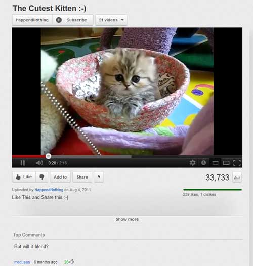 most innocent kitten - The Cutest kitten Happendlothing Subscribe 5 videos Ii 0.20 ? Add to 33,733 . Uploaded by HappendNothing on This and this Show more Top But will it blend? medusas 6 months ago 250