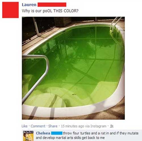 33 Of The Best Facebook Photo Comments Of 2014