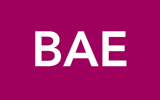 Have you ever heard anyone actually say the word BAE out loud? It's the most horrific thing you'll ever experience.