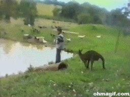 68 Great Gifs From 2014