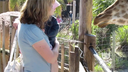 68 Great Gifs From 2014