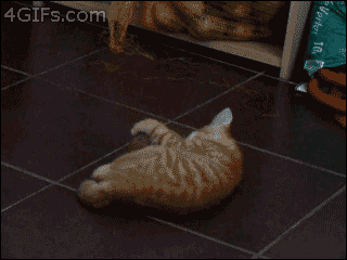 68 Great Gifs From 2014