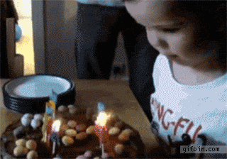 68 Great Gifs From 2014