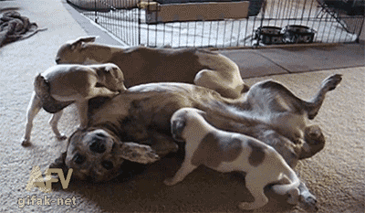 68 Great Gifs From 2014