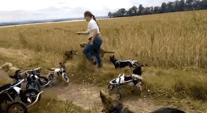 68 Great Gifs From 2014