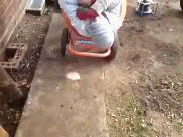 68 Great Gifs From 2014