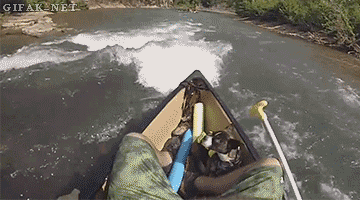68 Great Gifs From 2014