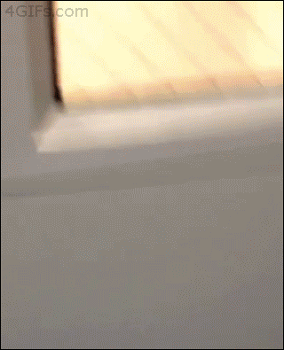 68 Great Gifs From 2014