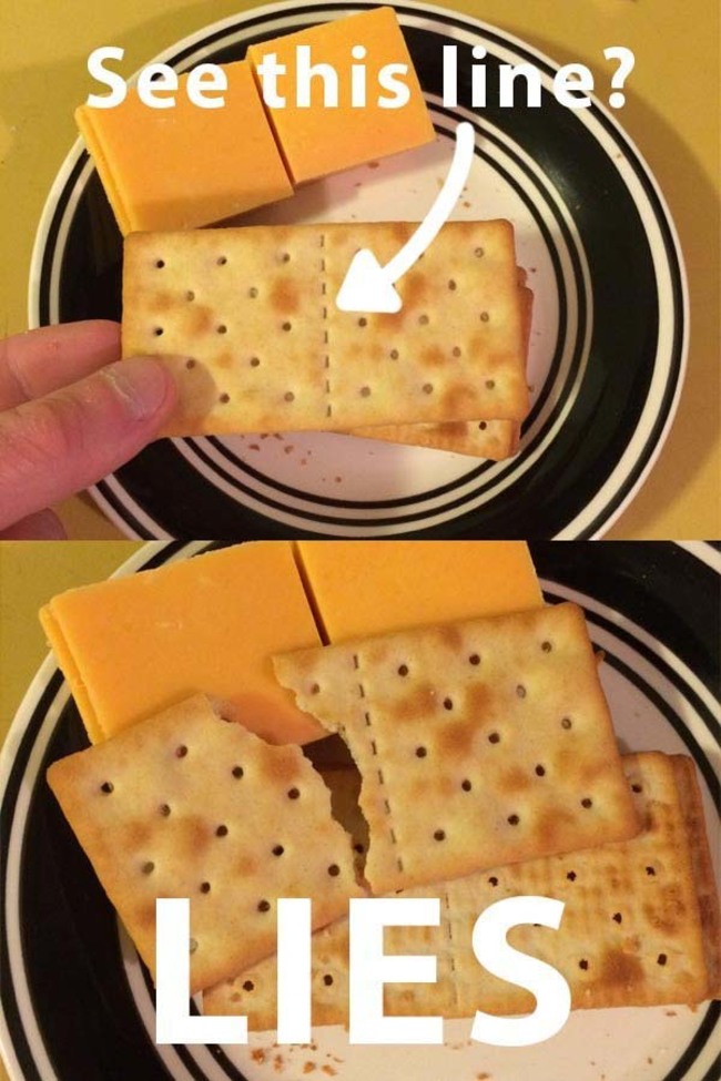 expectation vs reality lies cracker meme - See this line? I Lies