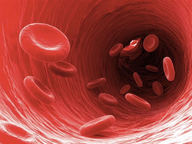 Blood makes its way around your body over 1,000 times a day