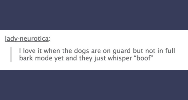 tumblr - document - ladyneurotica I love it when the dogs are on guard but not in full bark mode yet and they just whisper "boof"