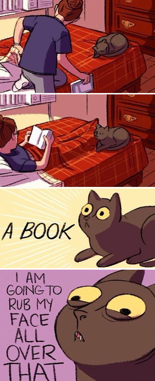 One does not simplyopen a book next to a cat.