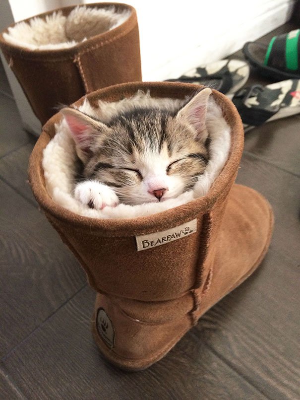 This shoe is hugging me!
