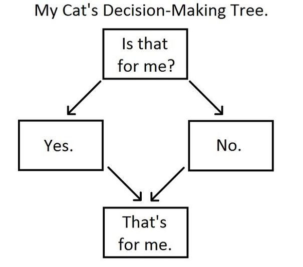 And the Venn diagram for whats for you and whats for your cat is a CIRCLE.