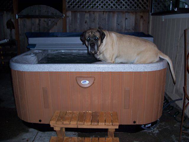 "I never should have thrown this hot tub party."