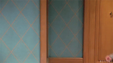 McFly's Daily Gif Flop