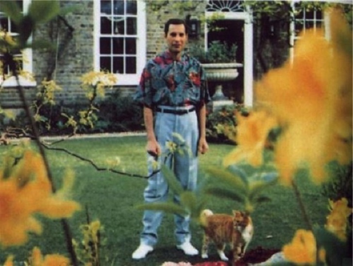 Freddie Mercury (September 5, 1946 – November 24, 1991) – This photo was taken during the Spring of 1991, but by November he was very sick and eventually passed away from the AIDS virus.