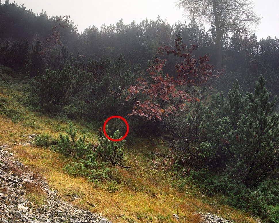 Can You Find The Snipers Hidden In These Photos?