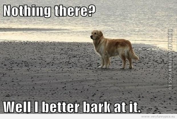 Dog Logic