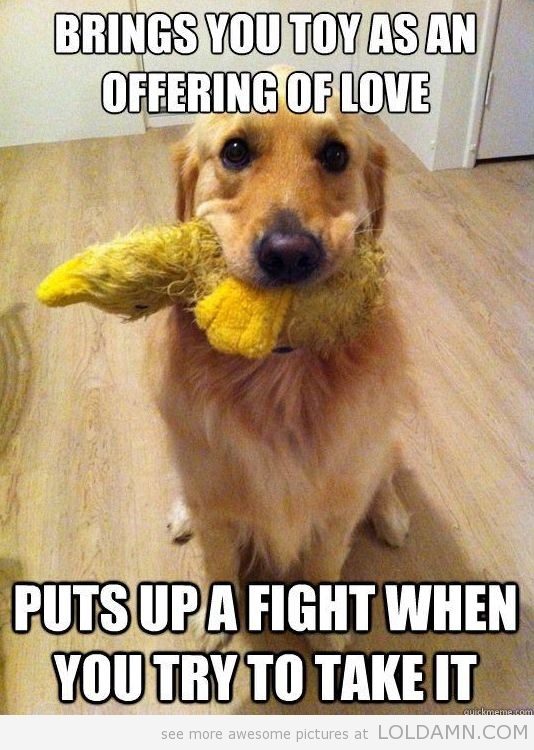 Dog Logic