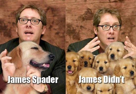 celebrity name puns - James Spader James Didn't