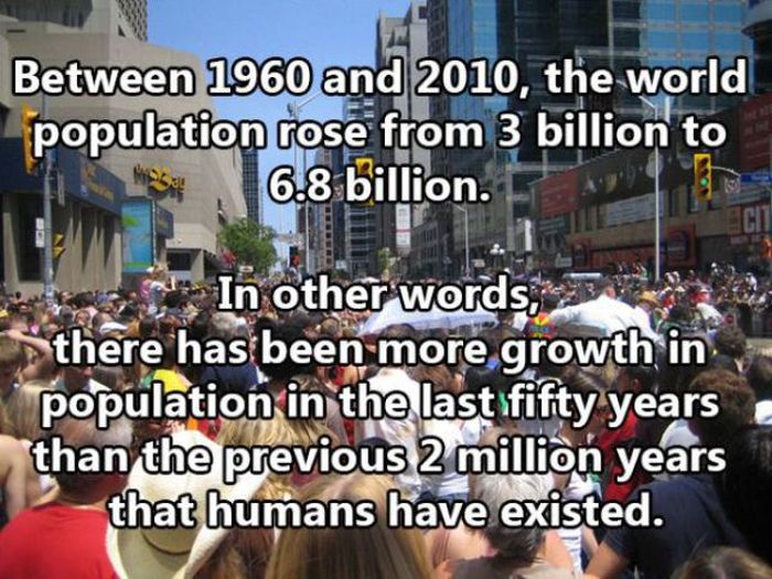 Facts About The Human Race
