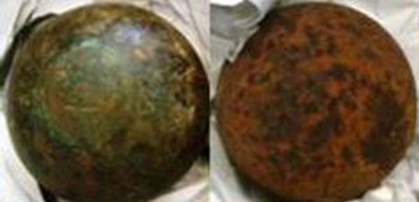 A diver found this cannonball, covered in coral, during a dive. It was discovered at the Ft. Lauderdale airport and it was still an active explosive.