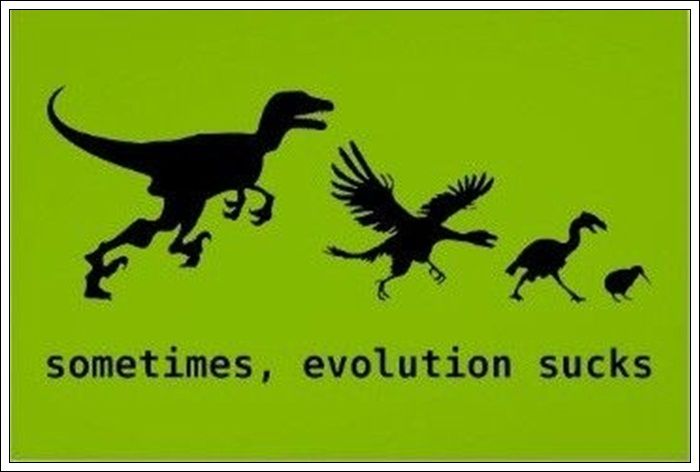 When Evolution Goes Wrong