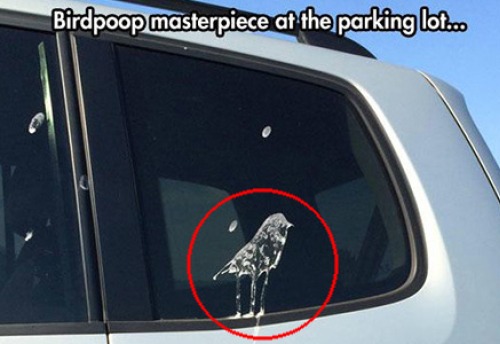 unintentionally ironic - Birdpoop masterpiece at the parking lot..