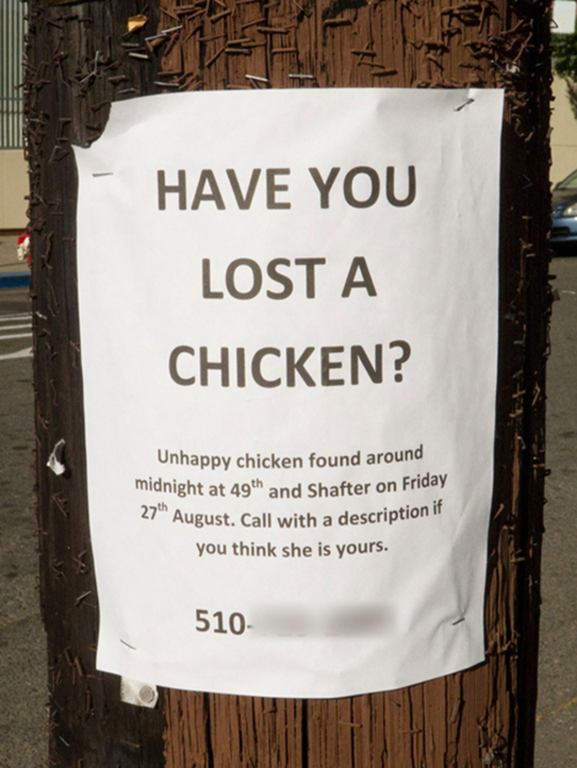 fake funny signs - Have You Lost A Chicken? Unhappy chicken found around midnight at 49th and Shafter on Friday August. Call with a description you think she is yours. 27th August. ca 510