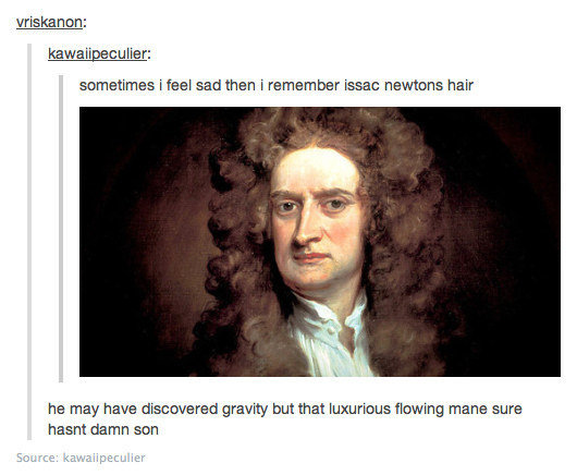 tumblr - funny history tumblr post - vriskanon kawaiipeculier sometimes i feel sad then i remember issac newtons hair he may have discovered gravity but that luxurious flowing mane sure hasnt damn son Source kawalipeculier