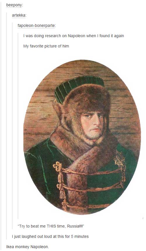 tumblr - napoleon in winter clothing - beepony artekka fapoleonbonerparte I was doing research on Napoleon when I found it again My favorite picture of him "Try to beat me This time, Russialli" I just laughed out loud at this for 5 minutes Ikea monkey Nap