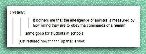 document - crystalfy It bothers me that the intelligence of animals is measured by how willing they are to obey the commands of a human. same goes for students at schools I just realized how f up that is wow.