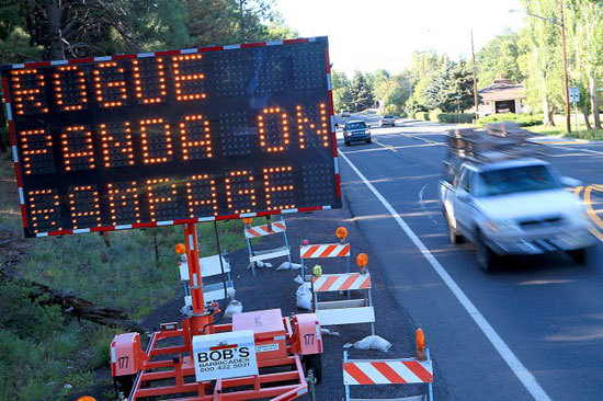 Funny Roadside Sign Hacks