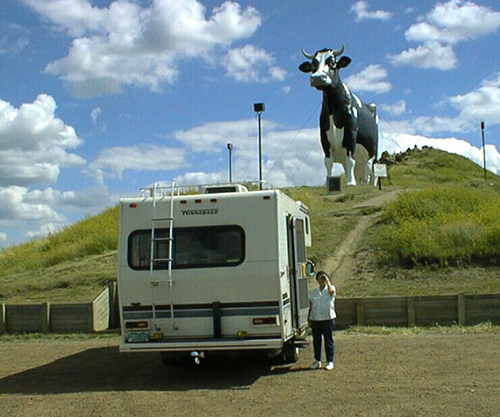 The World’s Biggest Holstein Cow