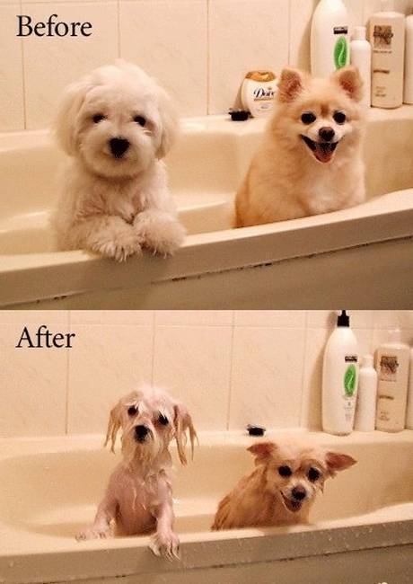 Before And After