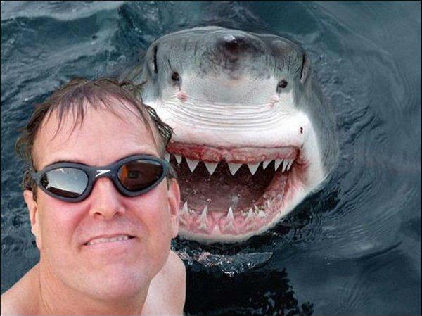 Some Of The Best Animal Photobombs Of All Time