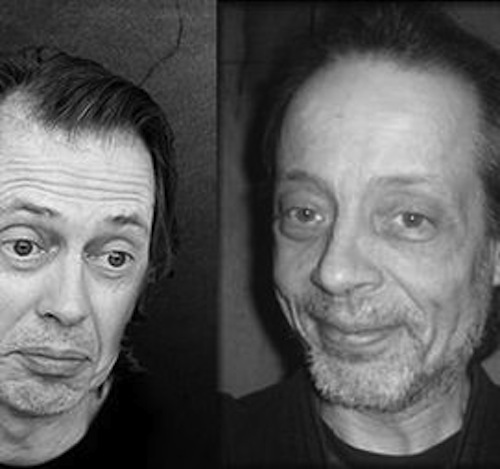 This person looks like Steve Buscemi.