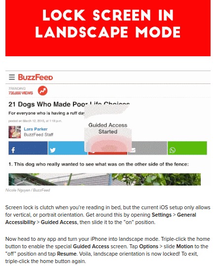 buzzfeed - Lock Screen In Landscape Mode BuzzFeed Yang 735.00 Views 21 Dogs Who Made Poolita Chinna For everyone who is having a ruff day wh 12. 2015, tam Lara Parker BuzzFeed Staff Guided Access Started 1. This dog who really wanted to see what was on th