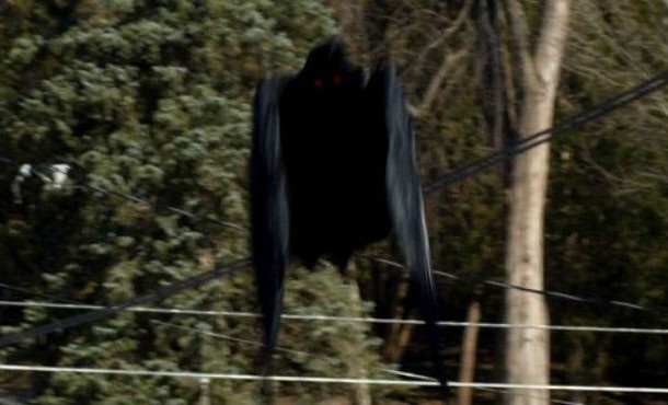 A strange report emerged from Chile in 2013 detailing sightings of a peculiar winged creature. The young man, who witnessed the mysterious animal flying between two trees near Bustamante Park in Santiago, Chile, described it pretty much as a cross between Batman and Dracula: bat-like wings, a beak full of razor-sharp teeth, tearing claws, and a long tail with a flanged end. Was this flying reptile a figment of the young man’s imagination or does it provide living proof that prehistoric creatures still exist?