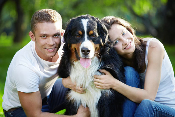 If a male has a dog with him, he is three times more likely to attract a mate.