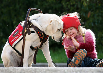 Dogs can be trained to detect changes in the human body that signal illness or distress.