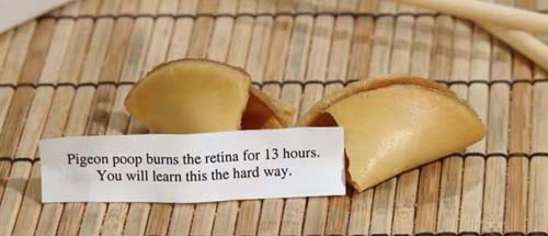 Completely Hilarious Fortune Cookie Messages