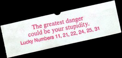 Completely Hilarious Fortune Cookie Messages