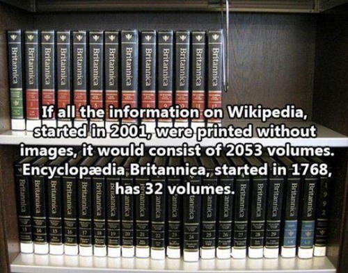 Fun Facts You Probably Didn't Know