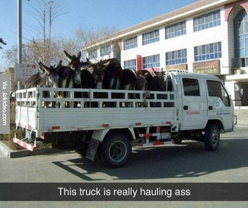 donkey truck - Via Jokideo.com This truck is really hauling ass